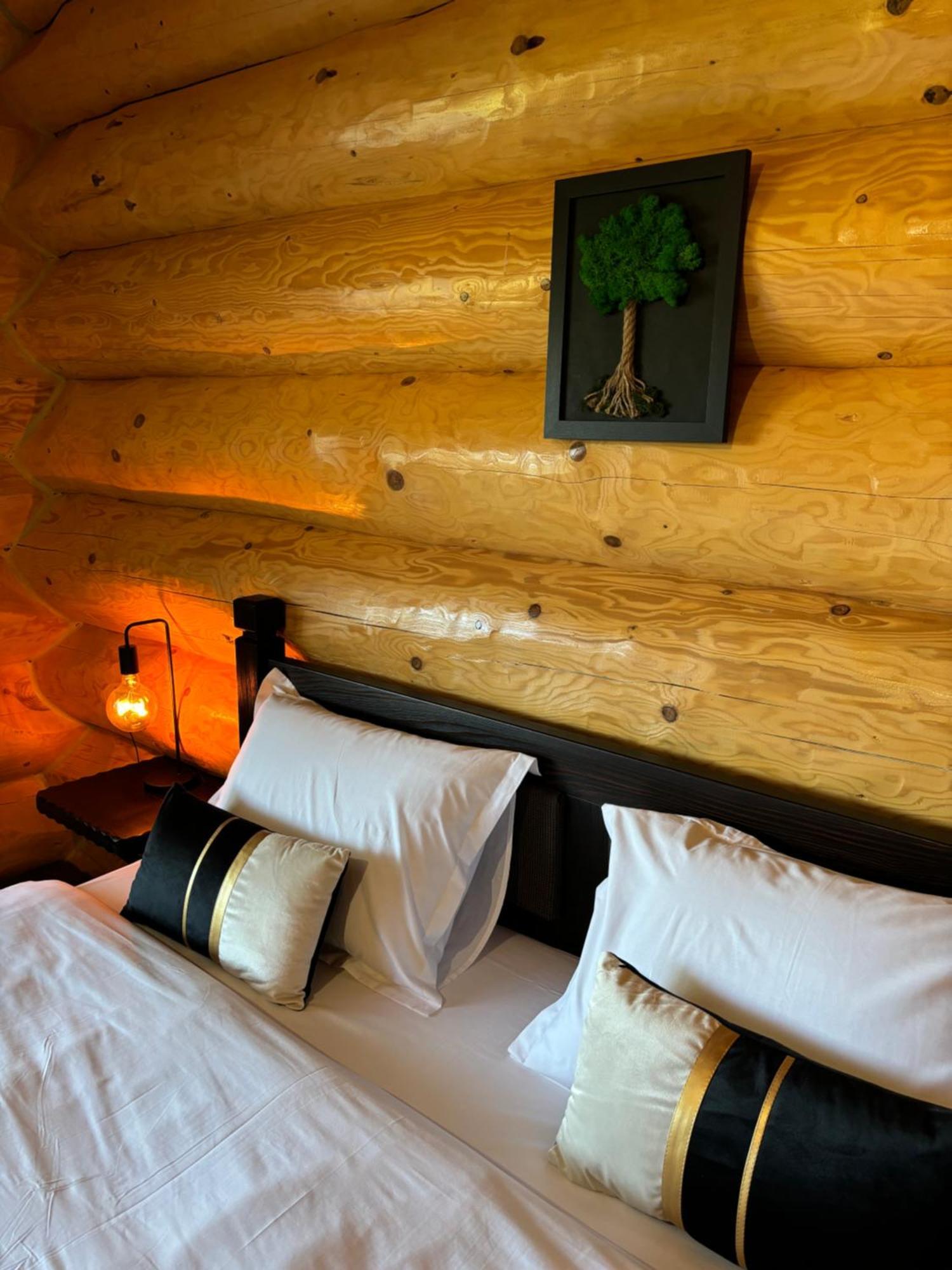 Hotel Bucovina Exclusiv Vama  Exteriér fotografie